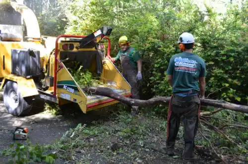 tree services Gowrie